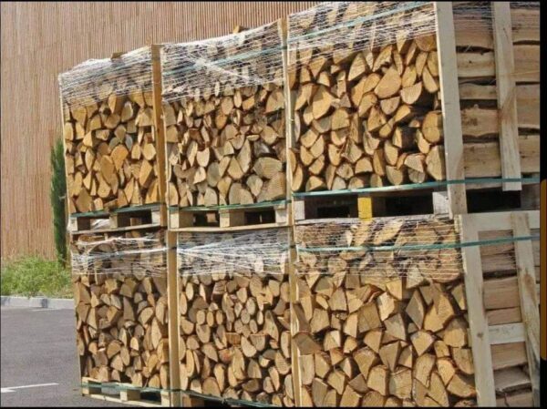 PHOTO-2025-11-04-17-51-49_1