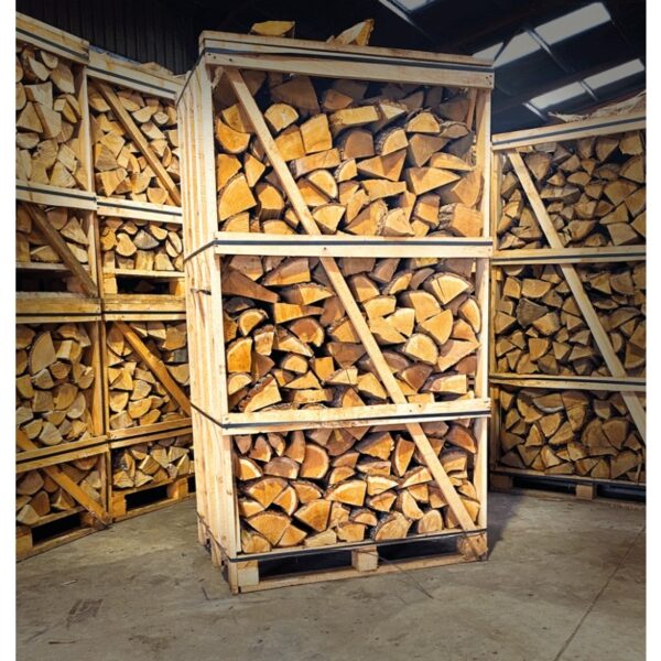 PHOTO-2025-11-04-17-51-50