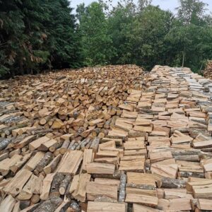 30 Stères de bois de chauffage sec - Image 5