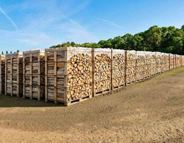 PHOTO-2025-11-04-17-52-16_1