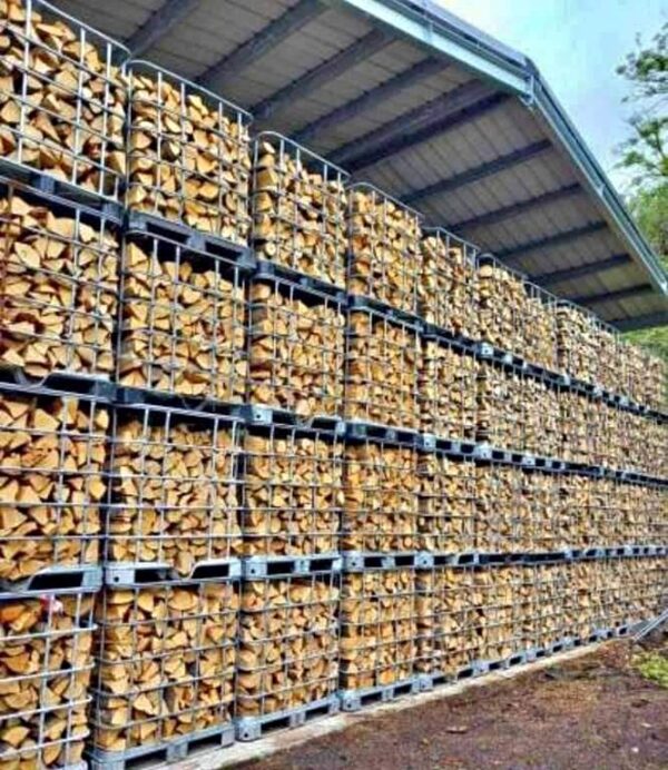 PHOTO-2025-11-04-17-52-18