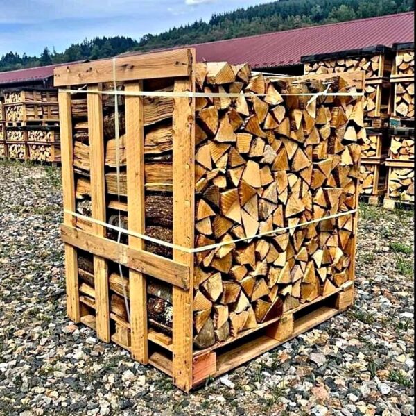 PHOTO-2025-11-04-17-52-21