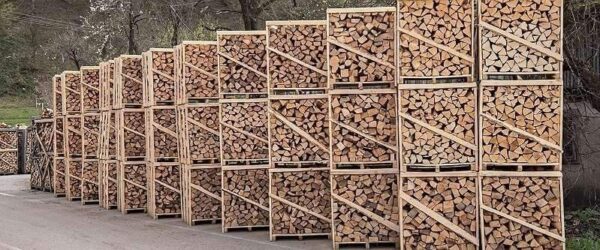 PHOTO-2025-11-04-17-52-25